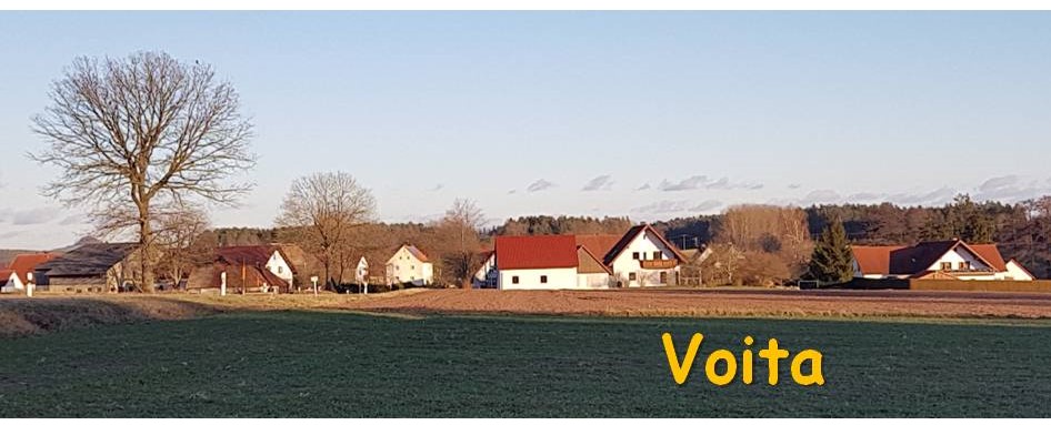 Infoveranstaltung Voita